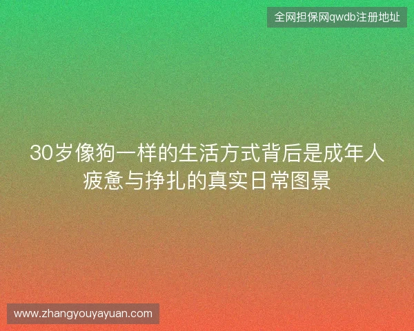 30岁像狗一样的生活方式背后是成年人疲惫与挣扎的真实日常图景